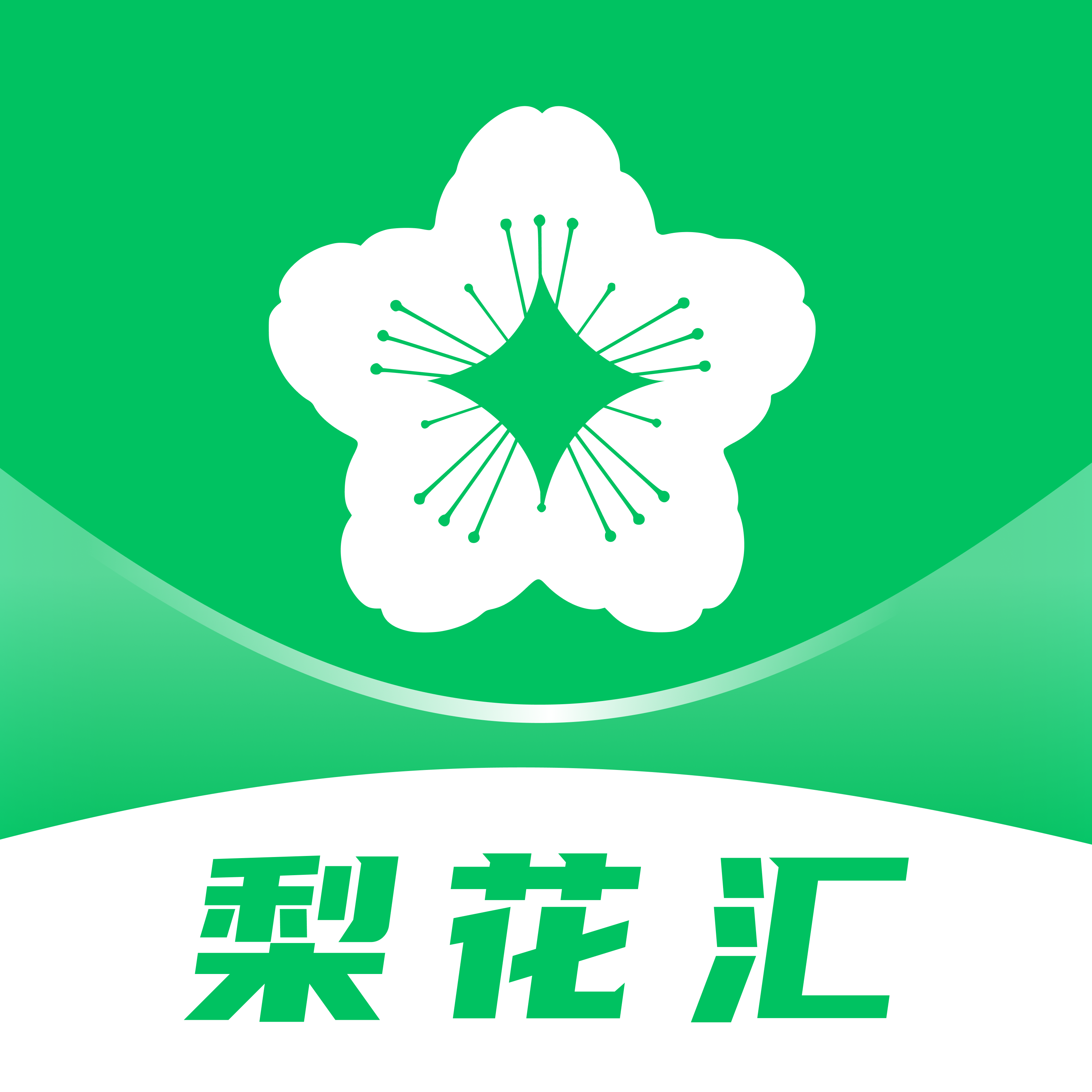 梨花汇